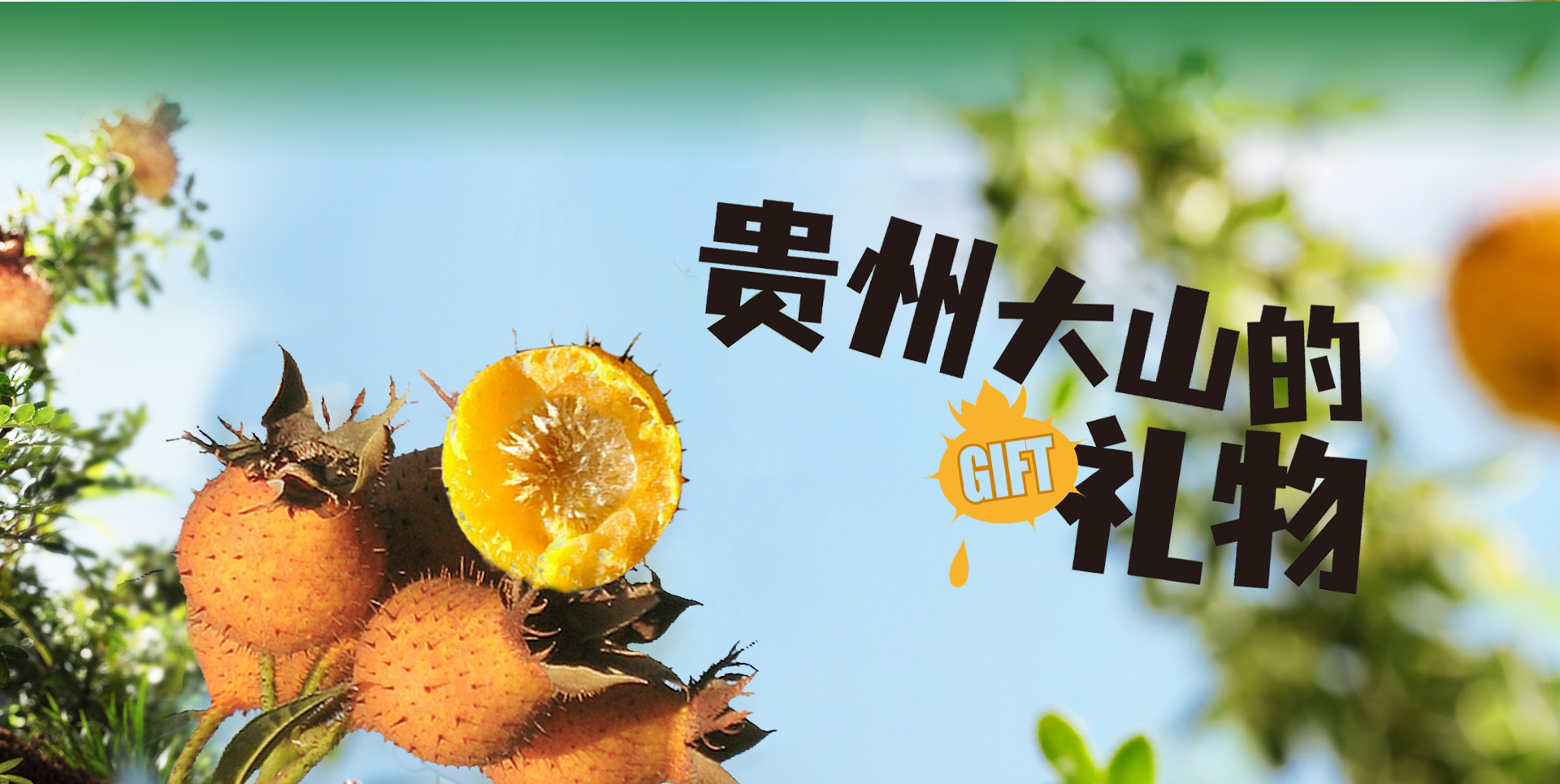 贵州安小刺保健品有限公司-贵州刺梨汁-贵州金刺梨-安顺金刺梨官网